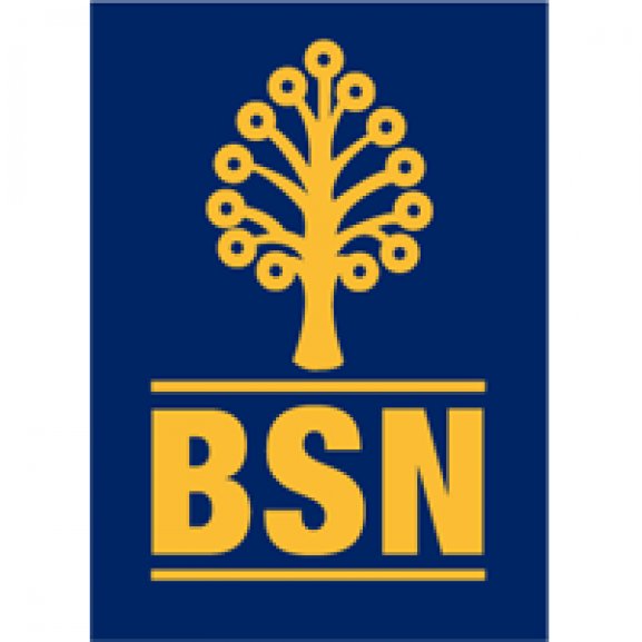 logo bsn Logo