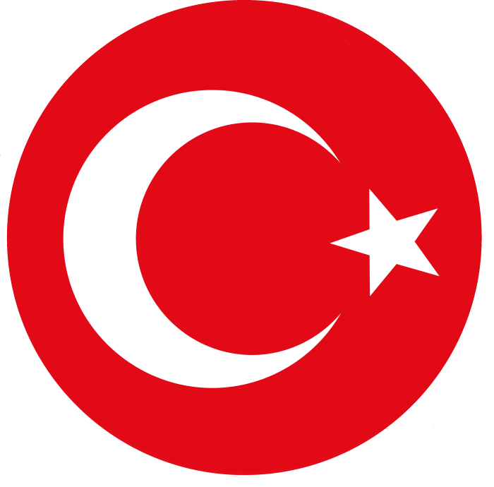 Turkey national football team Logo