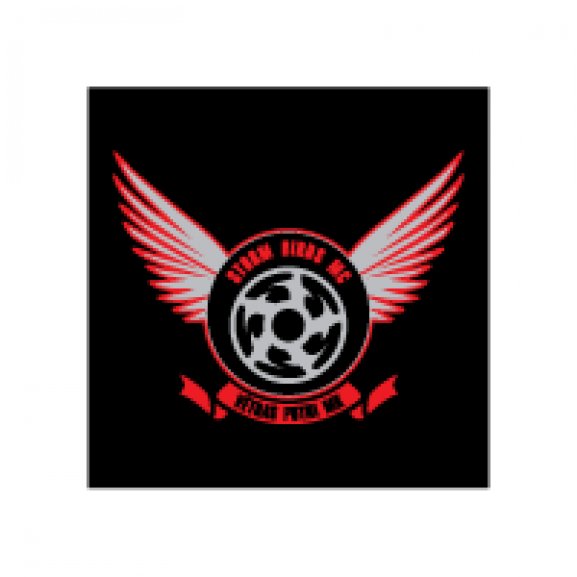 Vētras Putni Logo