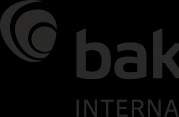 Baker Tilly International Logo