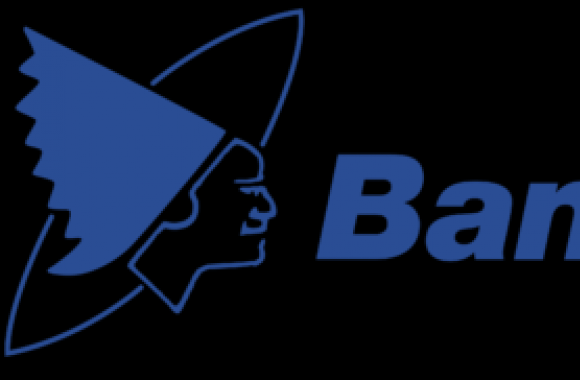 Bank of Pontiac Logo