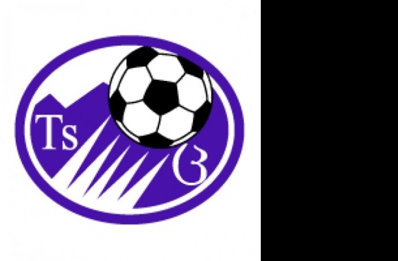 FC Tskhinvali Logo