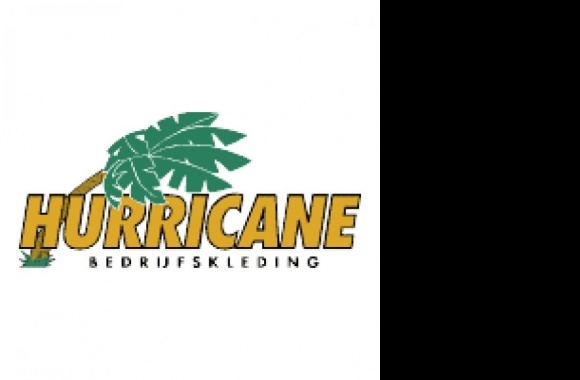 Hurricane Logo