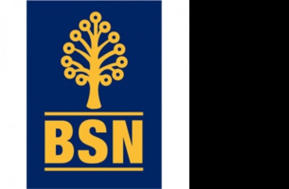 logo bsn Logo