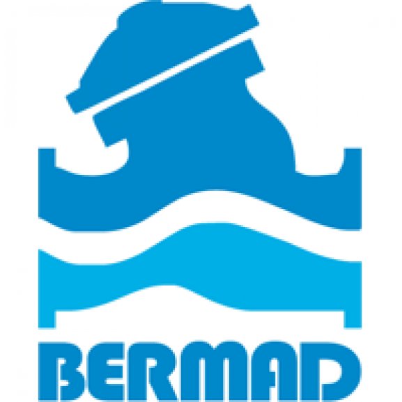 BERMAD Control Valves Logo