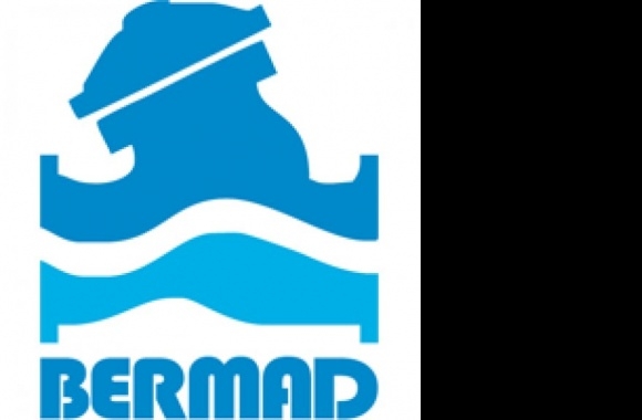 BERMAD Control Valves Logo