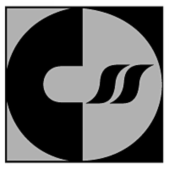 CSS Computer Service Support Logo