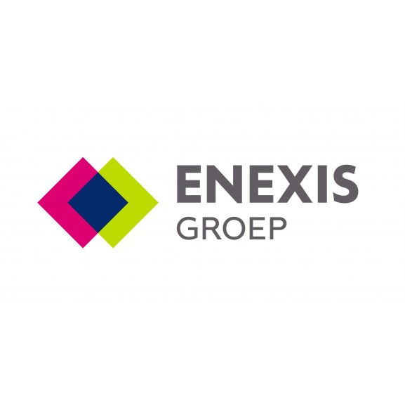 Enexis Groep Logo