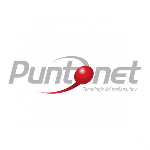 Puntonet Ecuador Logo