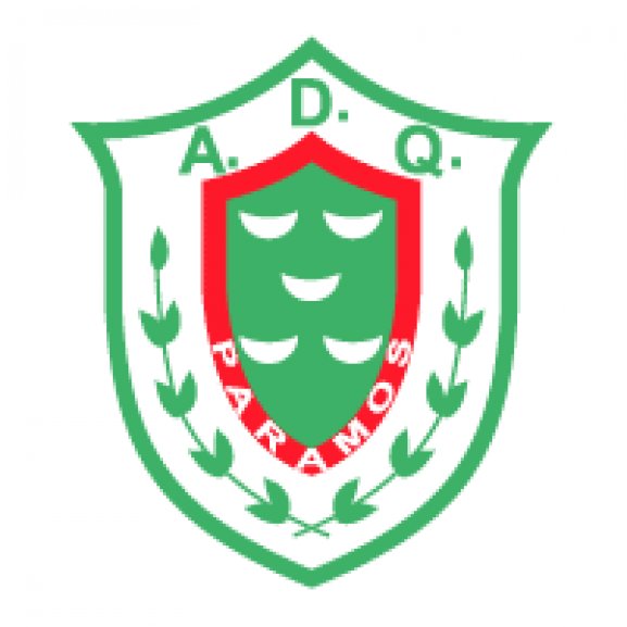 AD Quinta de Paramos Logo