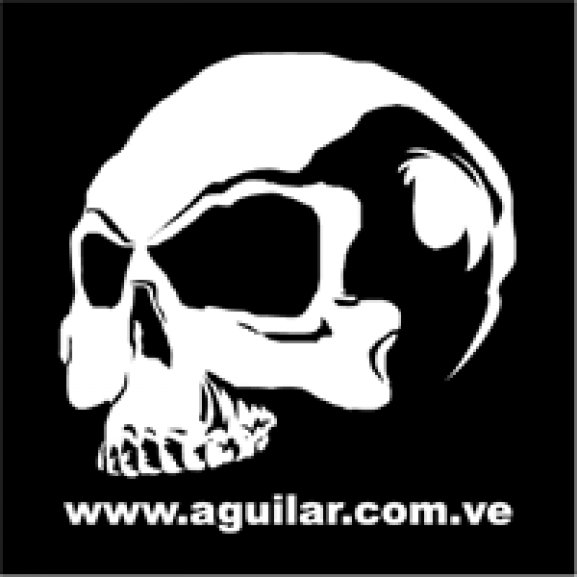 AGUILAR V3 Logo