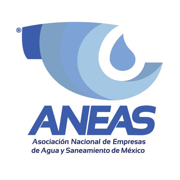 Aneas Color Logo