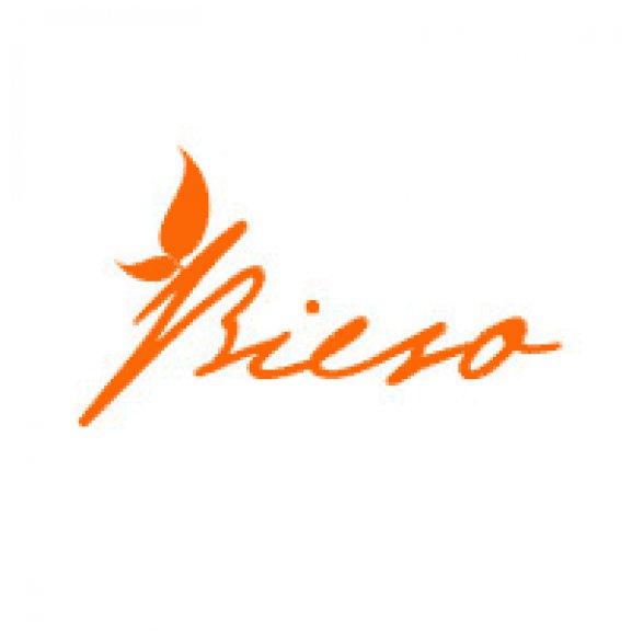 bieso Logo