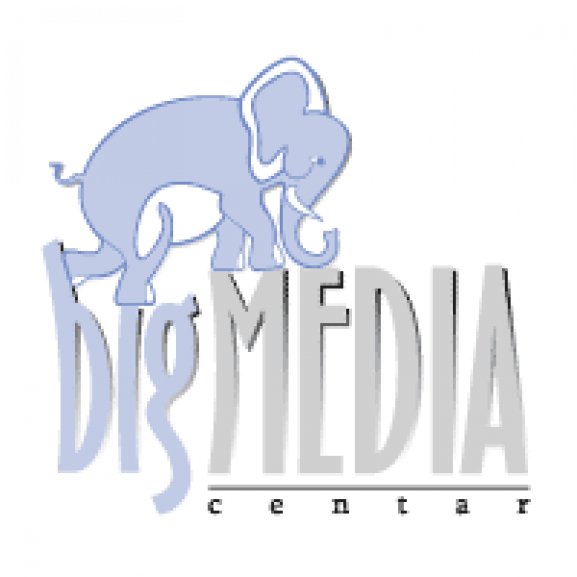 Bigmedia Logo