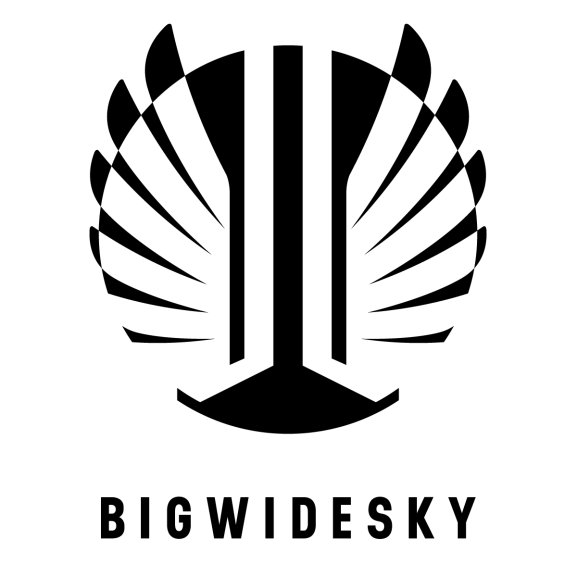 Bigwidesky Logo