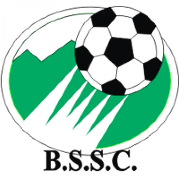 Blue Star SC Logo