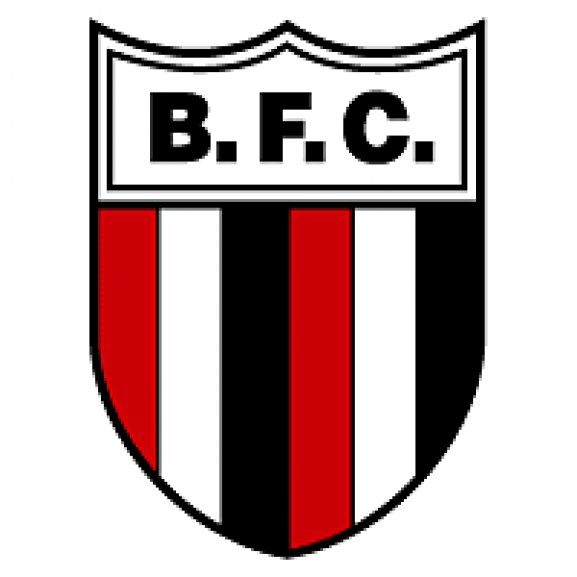 Botafogo SP Logo