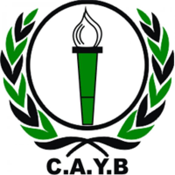 CA Youssoufia Berrechid Logo