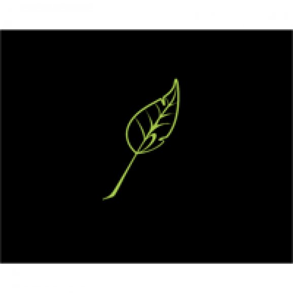 clorophilla film leaf Logo