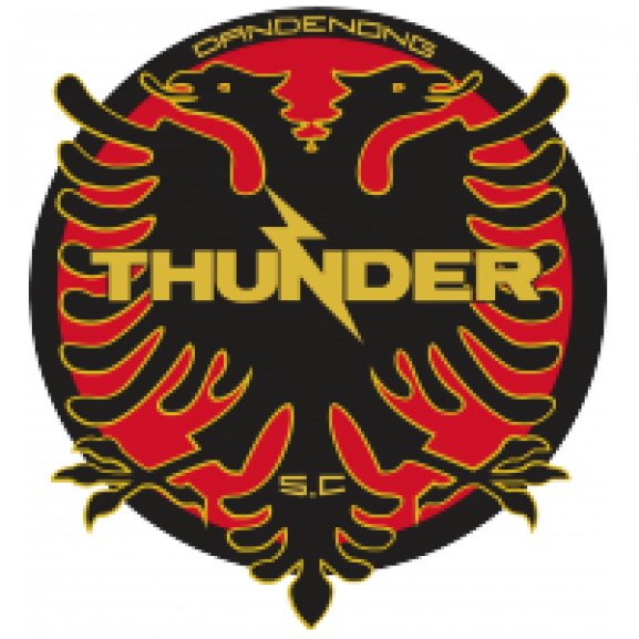 Dandenong Thunder SC Logo