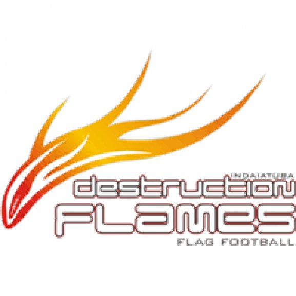 Destruction Flames Logo