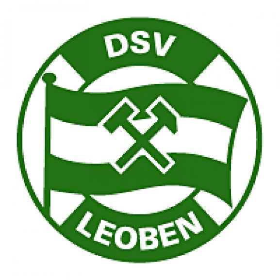 DSV Logo