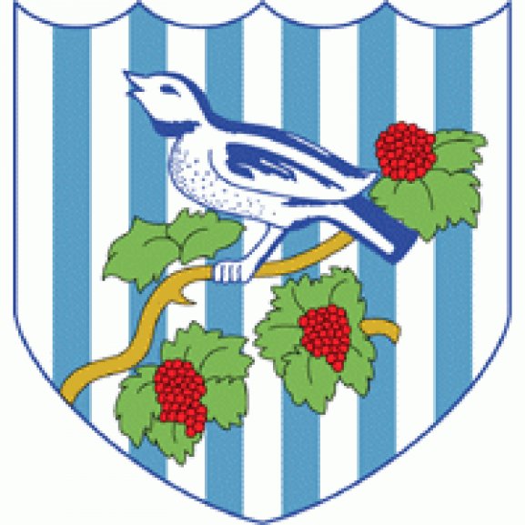 FC West Bromwich Albion (90's logo) Logo