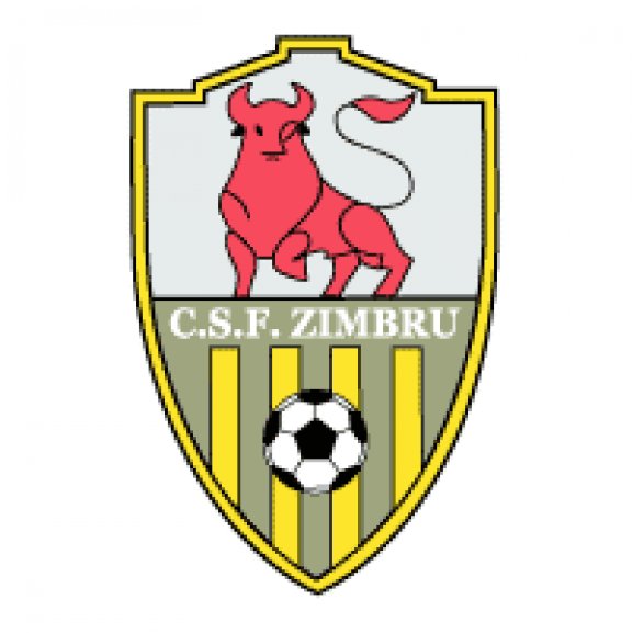 FC Zimbru Logo