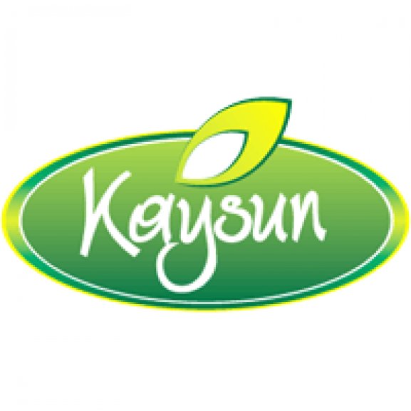 Kaysun Logo