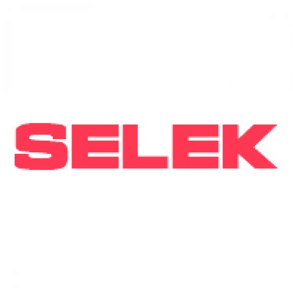 SELEK Group North Logo