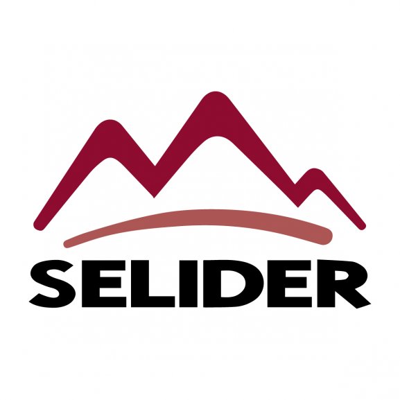 Selider Logo