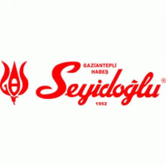 Seyidoglu Logo