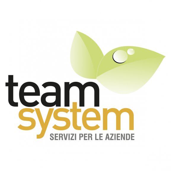 Team System servizi per le imprese Logo