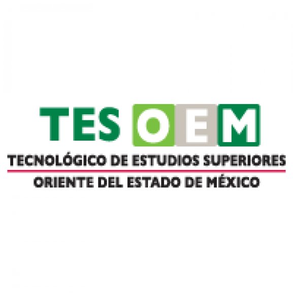 TESOEM Logo