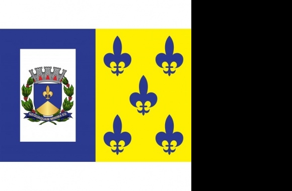 Bandeira de Descalvado Logo