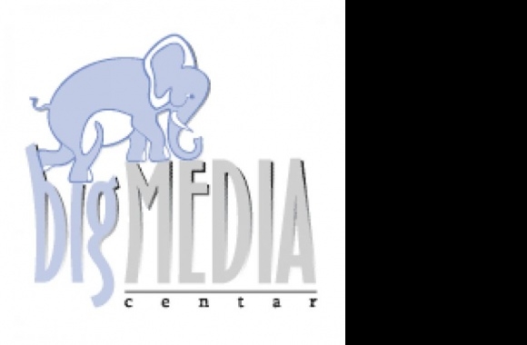 Bigmedia Logo