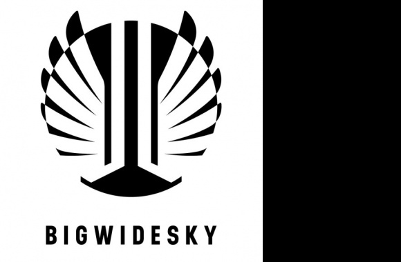 Bigwidesky Logo