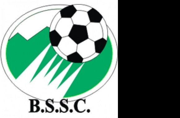 Blue Star SC Logo