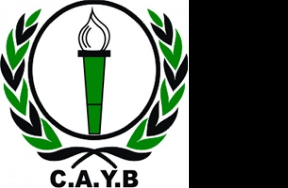 CA Youssoufia Berrechid Logo